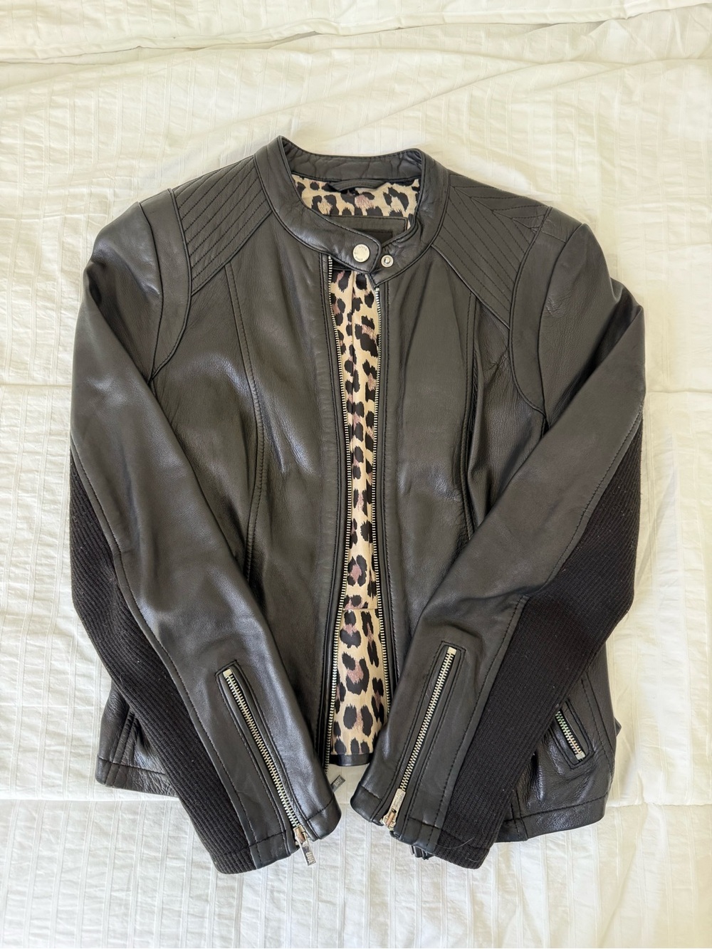 Black Leather Moto Jacket with Leopard Lining